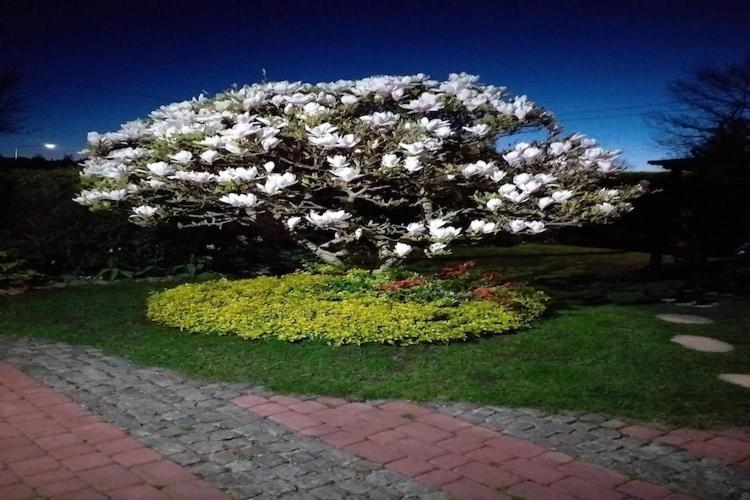 Cozy Apartment 600M From The Sea, Miedzyzdroje Bagian luar foto